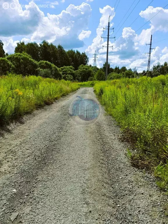 Участок в село Константиново, Вязовая улица (8 м) - Фото 1