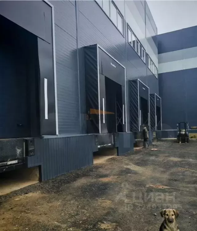 Склад в Московская область, Подольск городской округ, д. Стрелково 10 ... - Фото 1