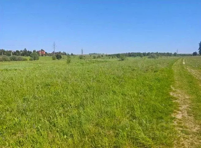 Участок в Московская область, Рузский муниципальный округ, д. Орешки  ... - Фото 1