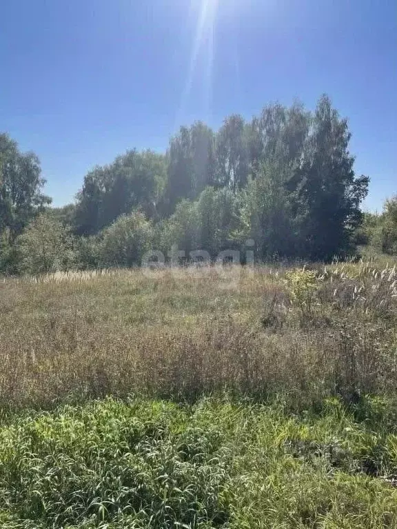 Участок в Владимирская область, Меленковский муниципальный округ, д. ... - Фото 1