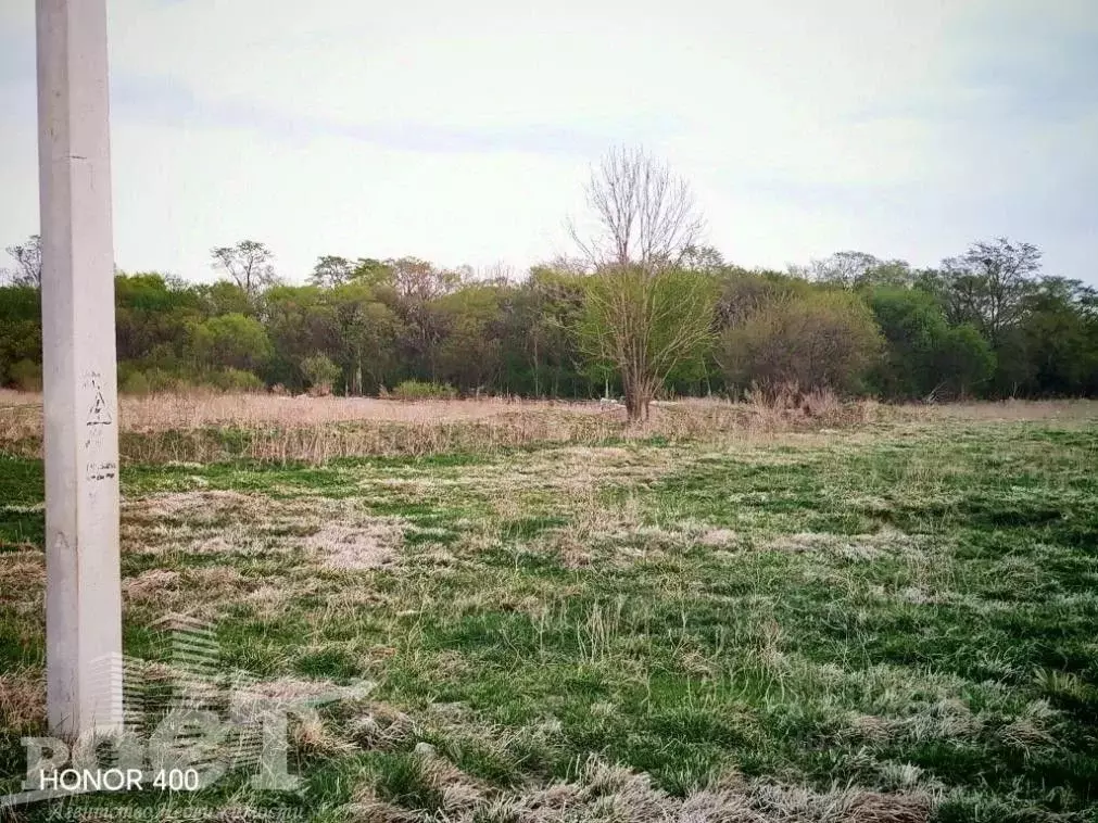 Участок в Приморский край, Артемовский городской округ, с. Ясное ул. ... - Фото 2