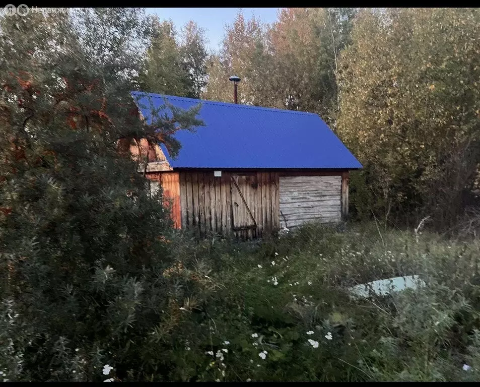 Дом в Кушнаренковский район, Шариповский сельсовет, коллективный сад ... - Фото 1