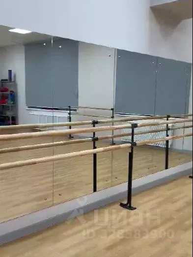 Помещение свободного назначения в Татарстан, Набережные Челны ул. ... - Фото 2