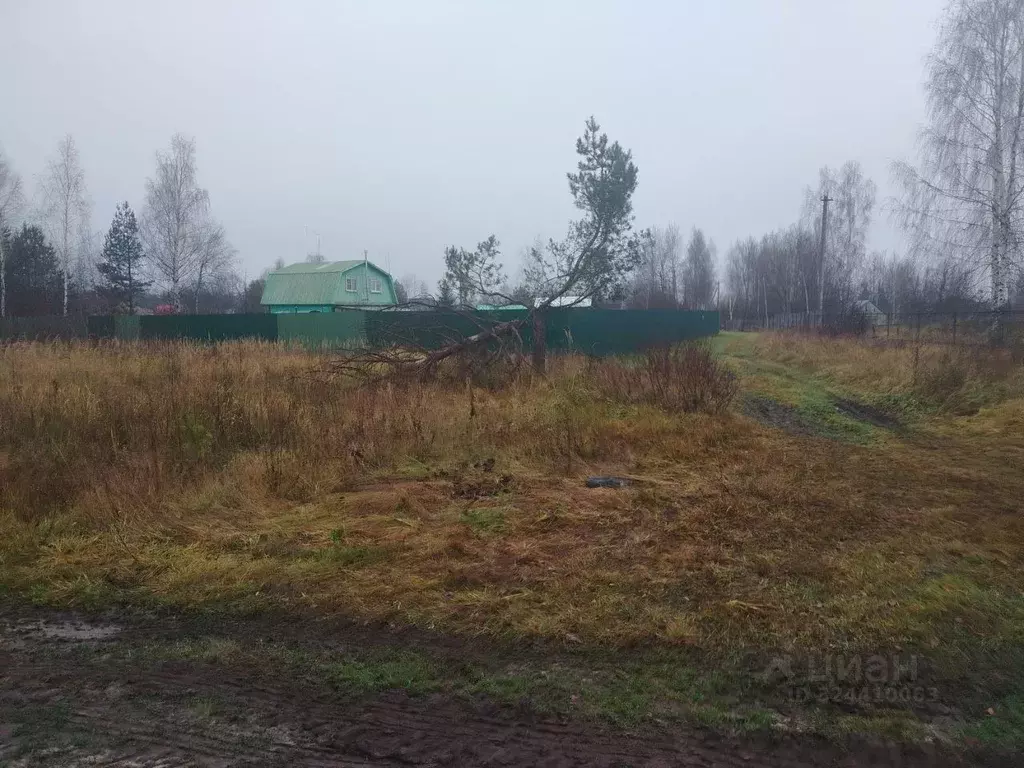 Участок в Московская область, Шатура муниципальный округ, с. Власово  ... - Фото 1