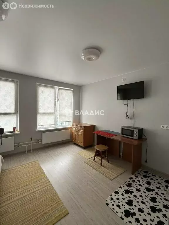 Квартира-студия: деревня Глухово, Романовская улица, 13 (26.3 м) - Фото 2