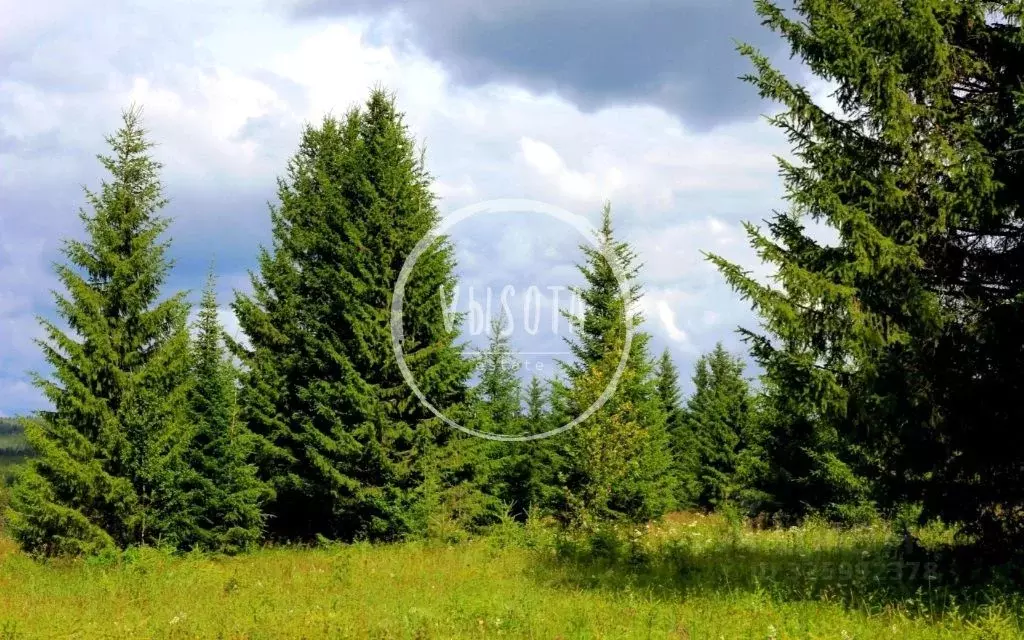 Участок в Московская область, Одинцовский городской округ, д. Жуковка, ... - Фото 0