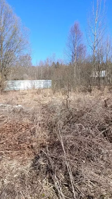 Участок в Московская область, Талдомский городской округ, д. ... - Фото 1