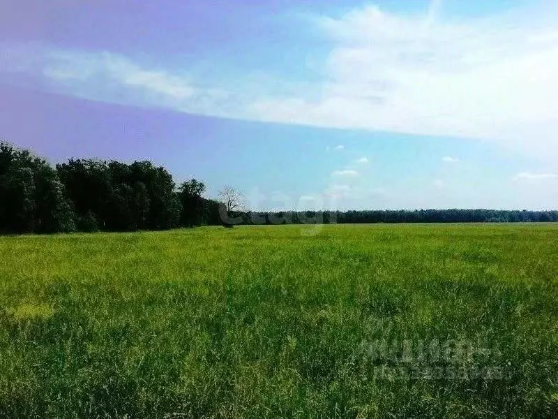 Участок в Ставропольский край, Шпаковский муниципальный округ, с. ... - Фото 2