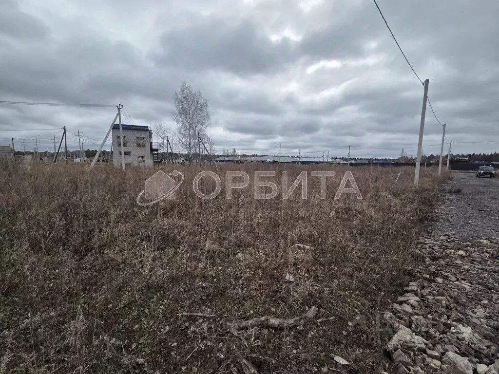 Участок в Тюменская область, Тюменский муниципальный округ, д. Ушакова ... - Фото 2