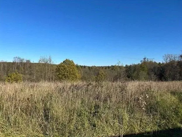Участок в Московская область, Сергиево-Посадский городской округ, д. ... - Фото 1