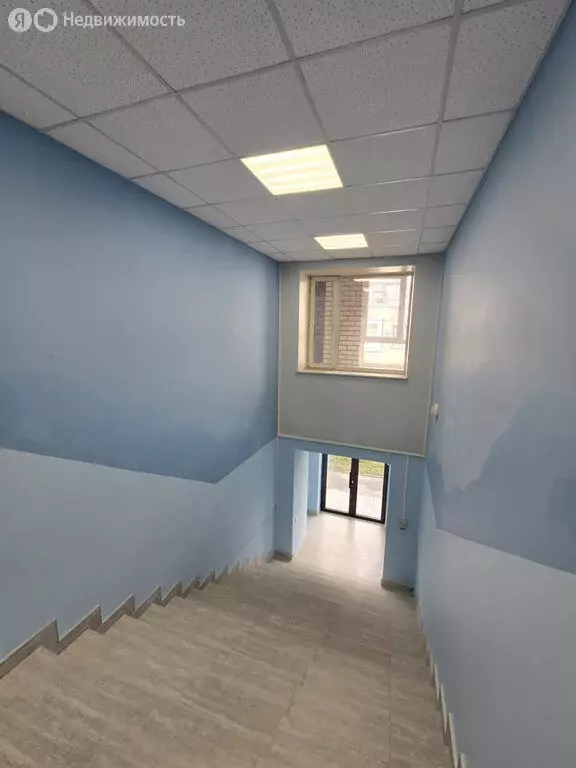 Помещение свободного назначения (278.8 м) - Фото 2