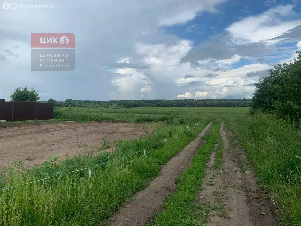 Участок в Рязанский район, Вышгородское сельское поселение, село ... - Фото 1