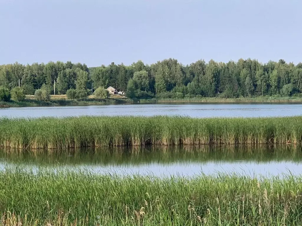 Участок в Татарстан, Лаишевский район, Нармонское с/пос, с. Тетеево  ... - Фото 2