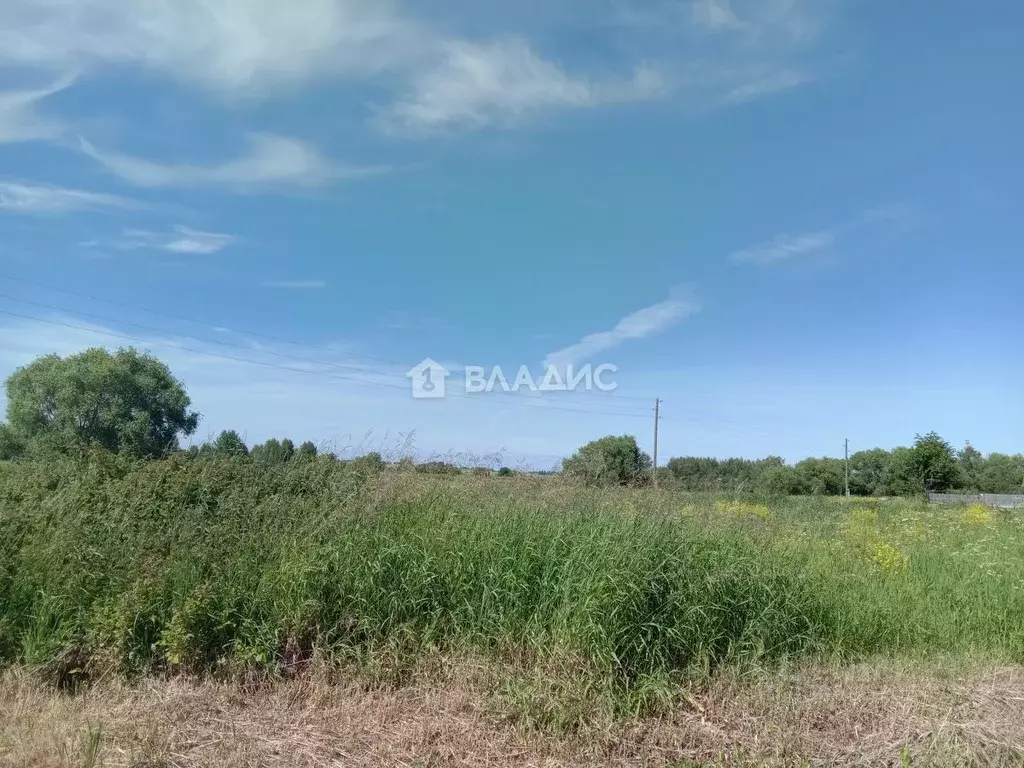 Участок в Владимирская область, Суздальский район, Селецкое ... - Фото 0