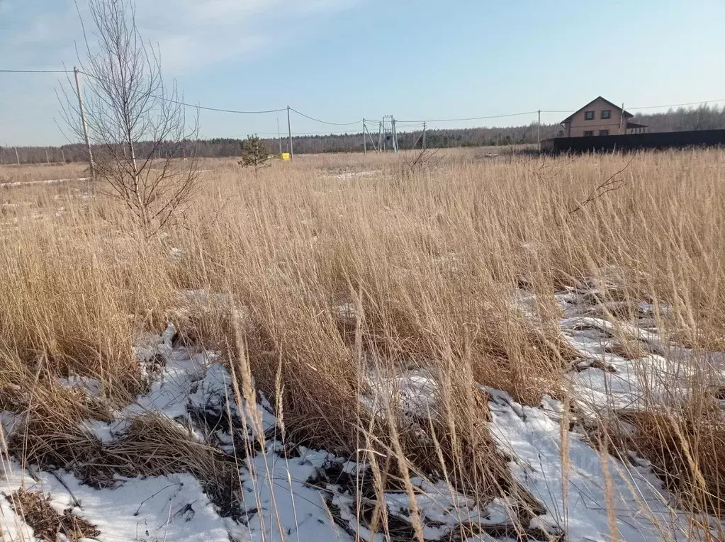 Участок в Московская область, Орехово-Зуевский городской округ, д. ... - Фото 1