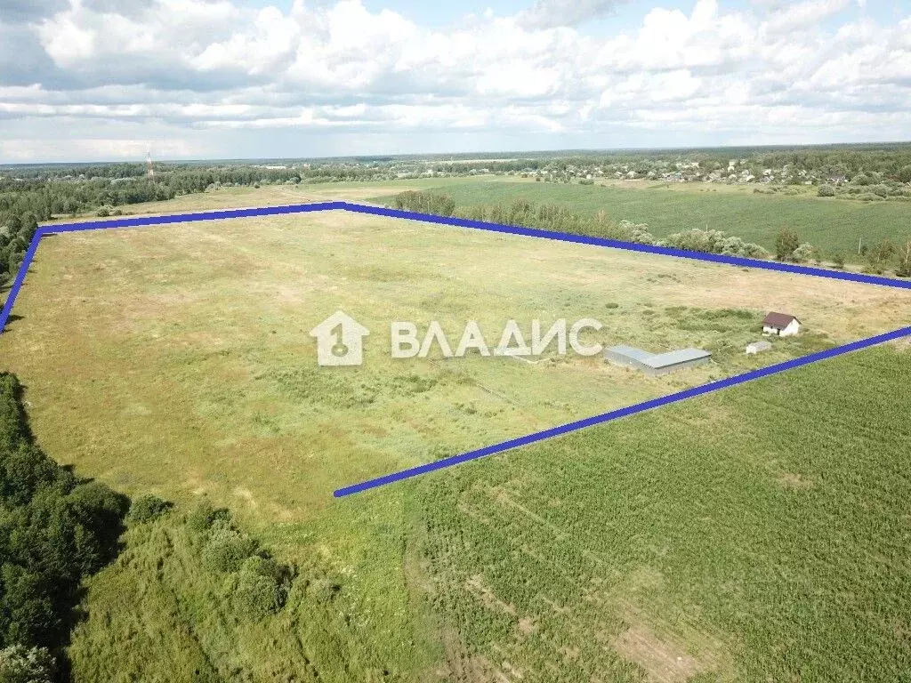Участок в Владимирская область, Судогодский район, пос. Муромцево  ... - Фото 0