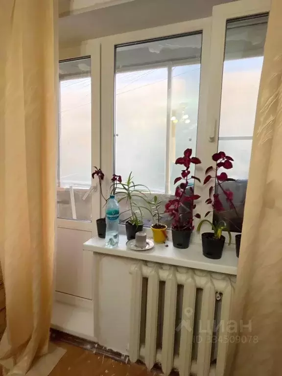 1-к кв. Ленинградская область, Никольское Тосненский район, ... - Фото 2