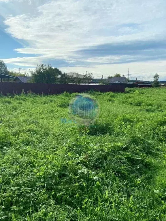 Участок в Московская область, Домодедово городской округ, д. Бурхино  ... - Фото 0