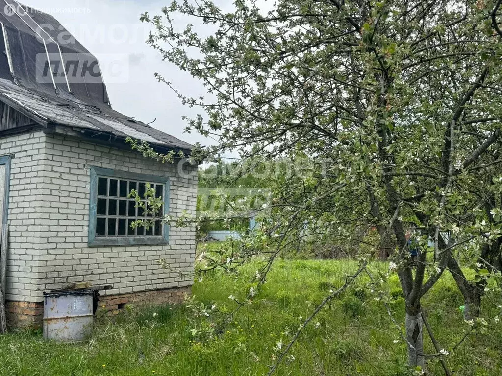 Дом в Засечный сельсовет, садовое товарищество Русь (50 м) - Фото 2