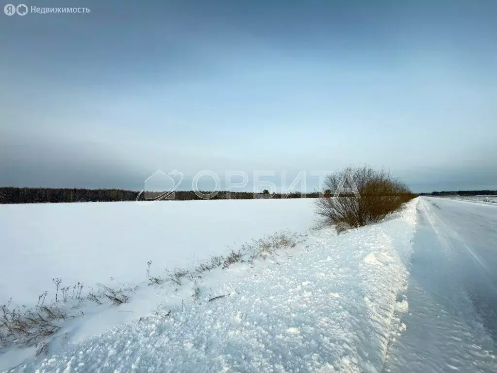 Участок в Тюменский муниципальный округ, село Успенка (6 м) - Фото 1