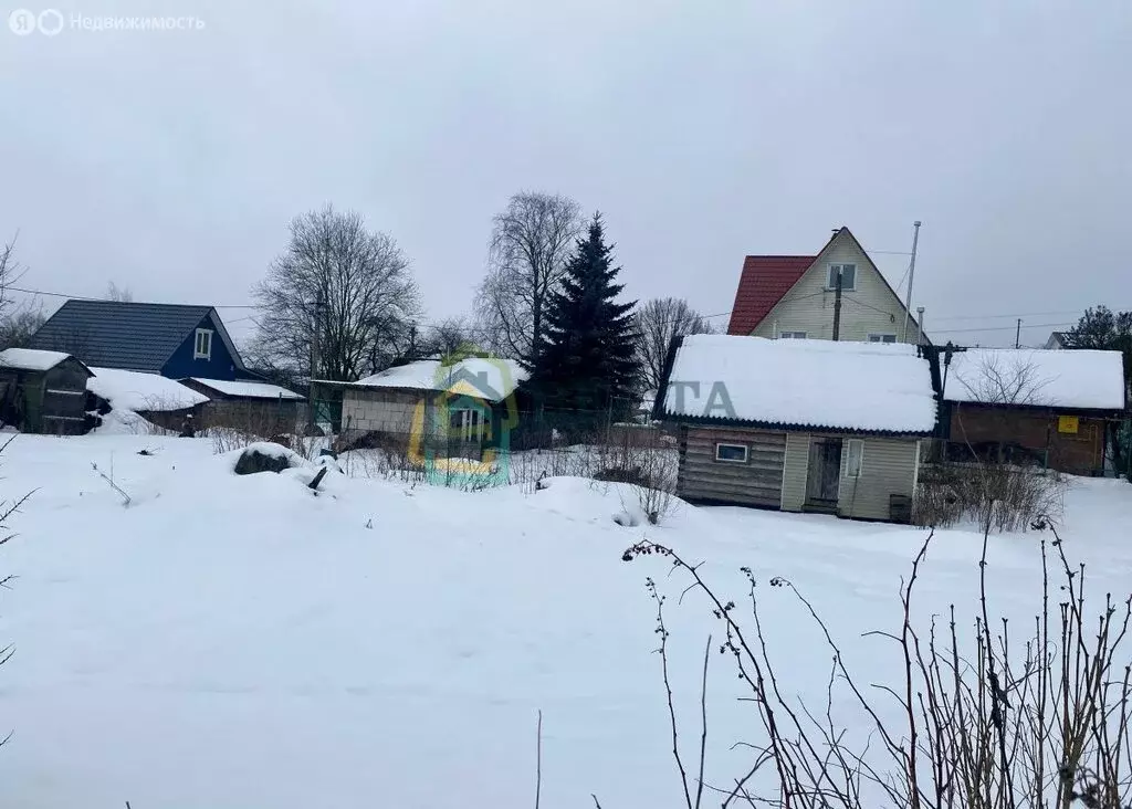 Участок в Красное Село, садоводство Дружба, 3-я линия (11690 м) - Фото 1