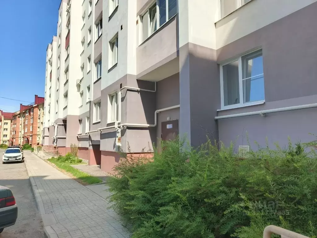 3-к кв. Ярославская область, Ярославский муниципальный округ, пос. ... - Фото 2