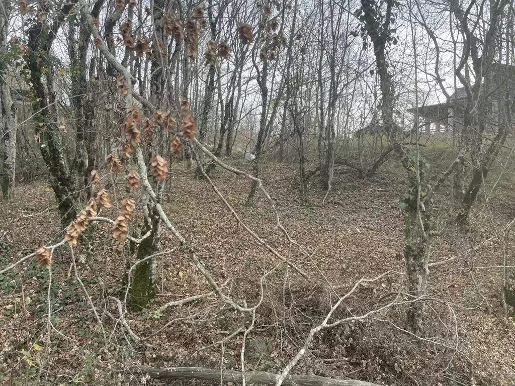 Участок в Краснодарский край, Геленджик городской округ, Широкая Щель ... - Фото 2