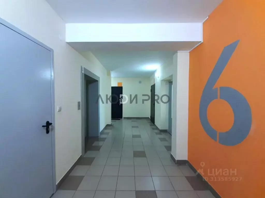 2-к кв. Ярославская область, Ярославский муниципальный округ, пос. ... - Фото 2