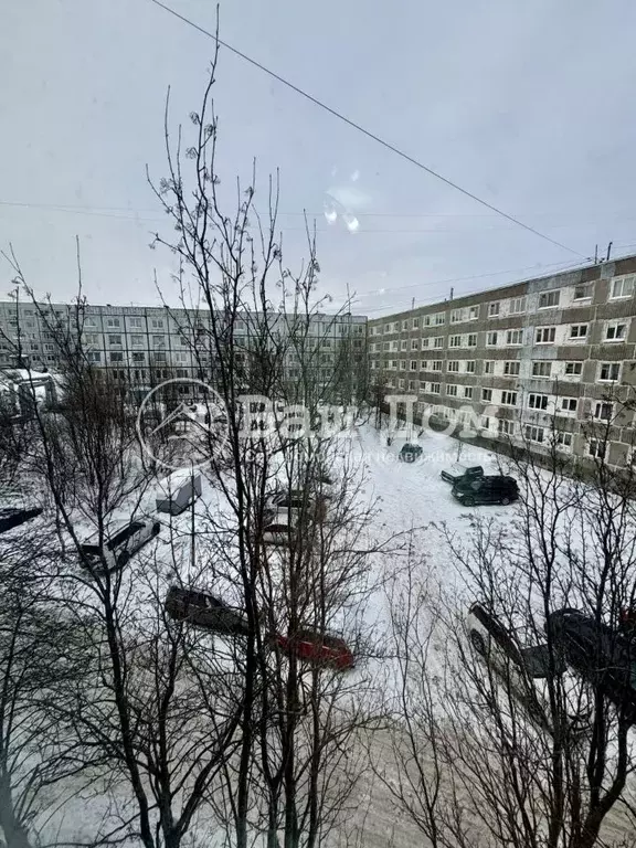 2-к кв. Мурманская область, Сафоново пгт, пос. Сафоново-1 ул. Панина, ... - Фото 1