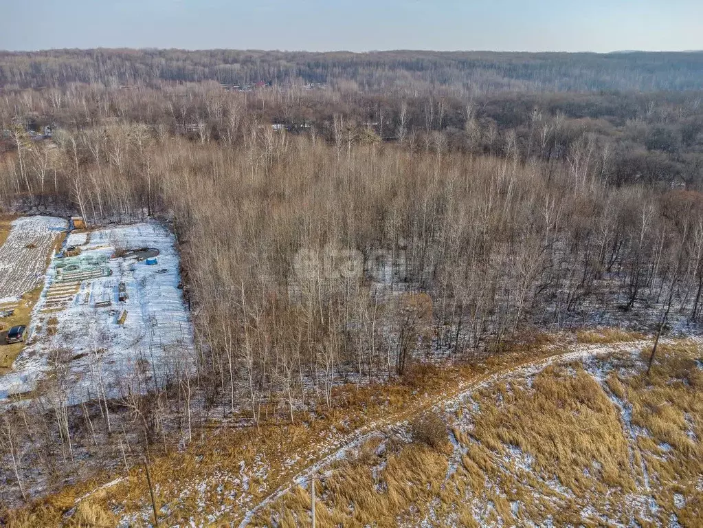 Участок в Хабаровский край, Хабаровский район, Осиновореченское с/пос, ... - Фото 1