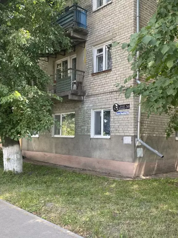 2-к кв. Нижегородская область, Павлово ул. Аллея Ильича, 20 (40.0 м) - Фото 2