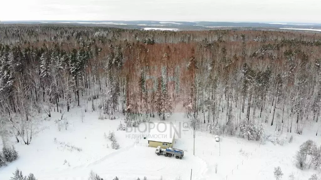 Производственное помещение в Свердловская область, Белоярский ... - Фото 1