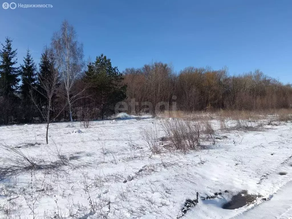 Участок в Тульская область, Ефремовский муниципальный округ, посёлок ... - Фото 0