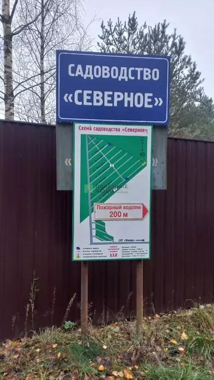 Участок в Ленинградская область, Сосновый Бор Северное СНТ, ул. ... - Фото 1