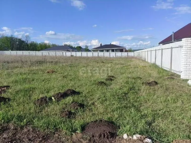 Участок в Воронежская область, Семилукский район, с. Девица, Поречье-2 ... - Фото 1