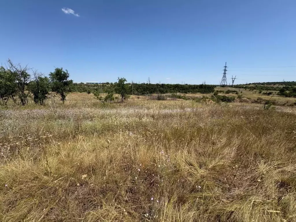 Участок в Волгоградская область, Городищенский район, Царицынское ... - Фото 2