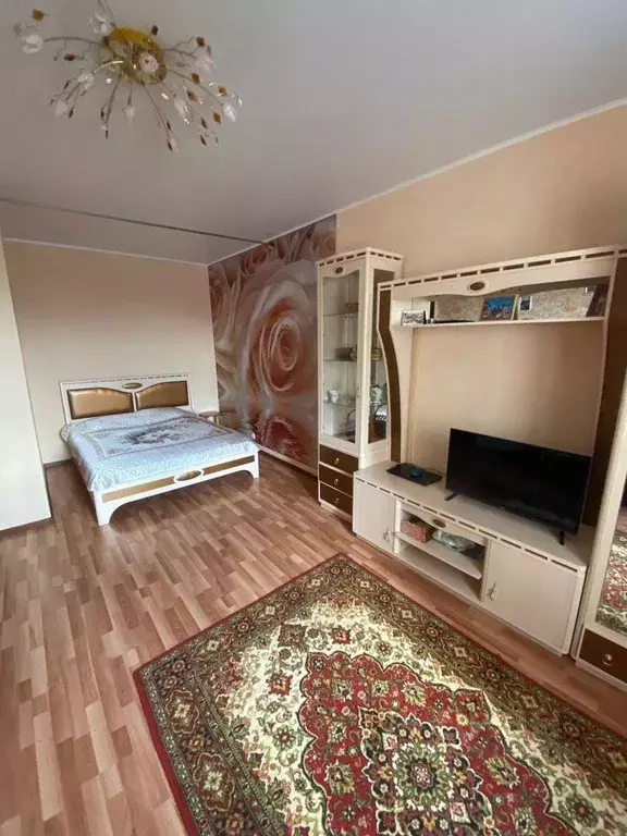 1-к кв. Московская область, Пушкино Серебрянка мкр, 48к2 (45.0 м) - Фото 2