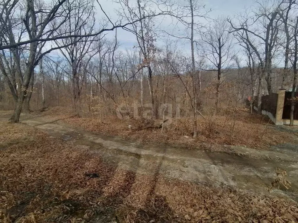 Участок в Приморский край, Владивосток Подъемная ул. (1228.0 сот.) - Фото 1