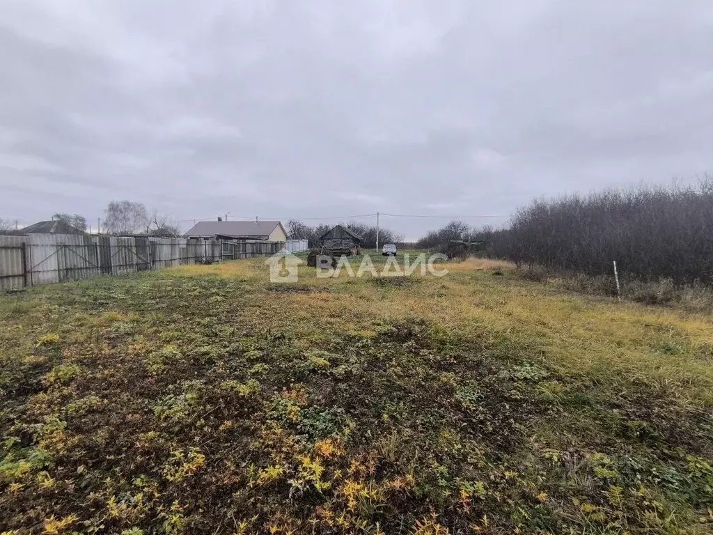 Участок в Воронежская область, Рамонский район, Карачунское с/пос, с. ... - Фото 2