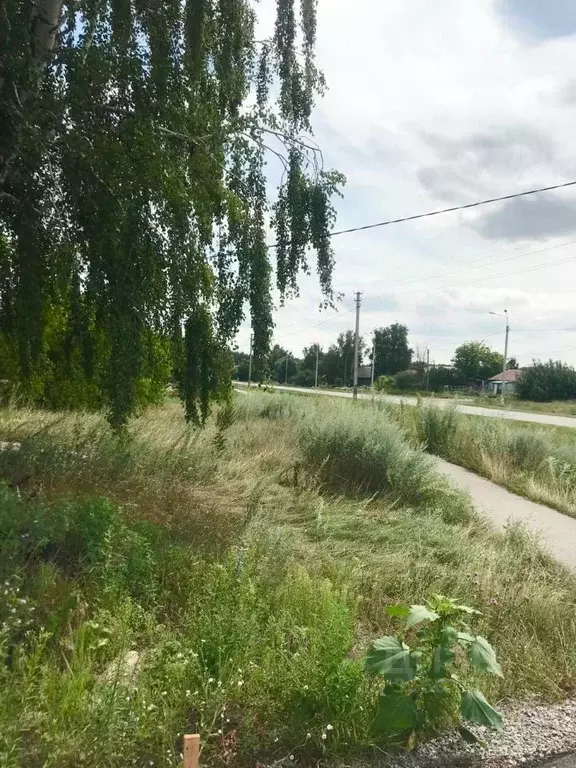 Участок в Тамбовская область, Знаменский муниципальный округ, д. ... - Фото 2