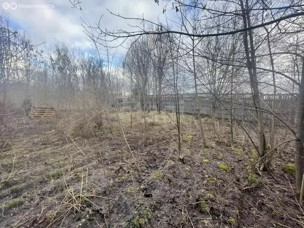 Участок в деревня Солослово, 3 (8.3 м) - Фото 1