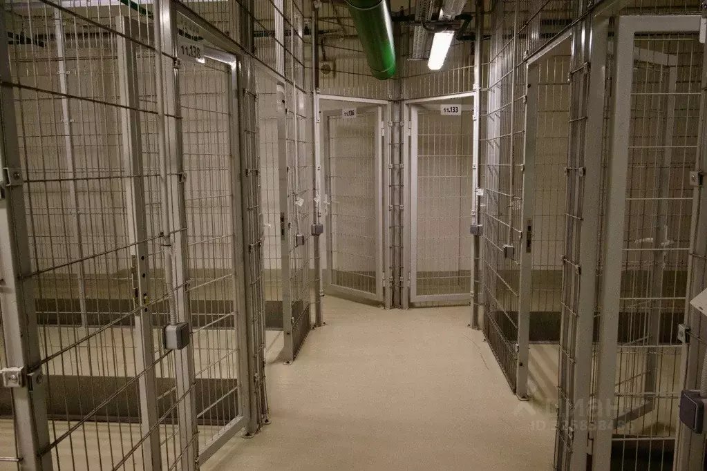 Помещение свободного назначения в Москва Ленинградский просп., 36с37 ... - Фото 2