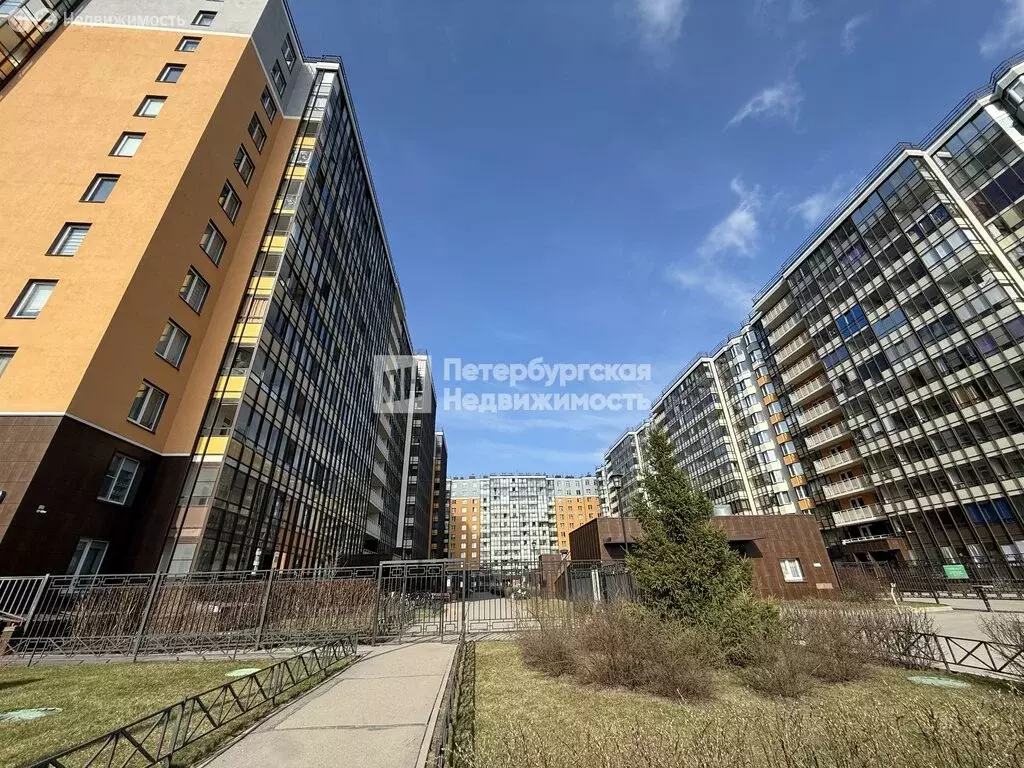 Квартира-студия: Санкт-Петербург, проспект Ветеранов, 175к4 (24.2 м) - Фото 2