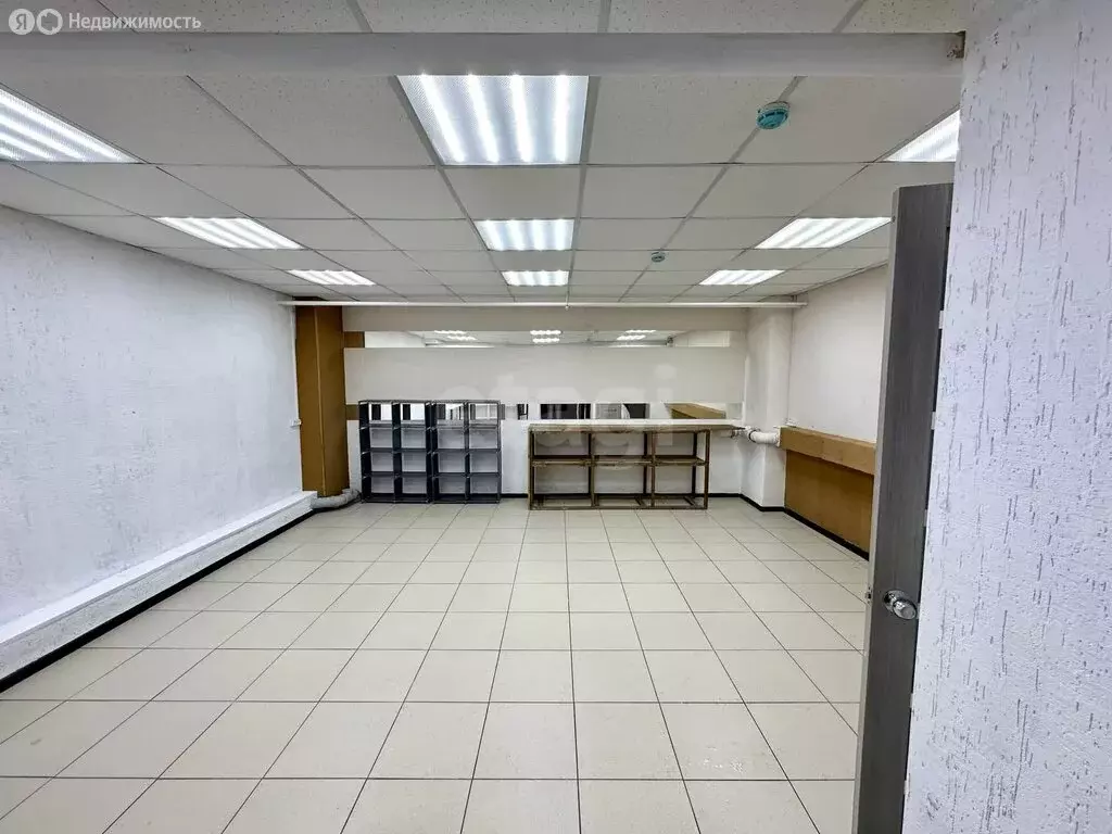 Помещение свободного назначения (30.5 м) - Фото 2