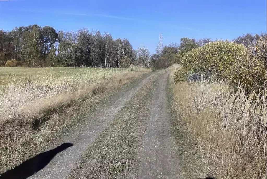 Участок в Ленинградская область, Выборгский район, Приморское ... - Фото 2