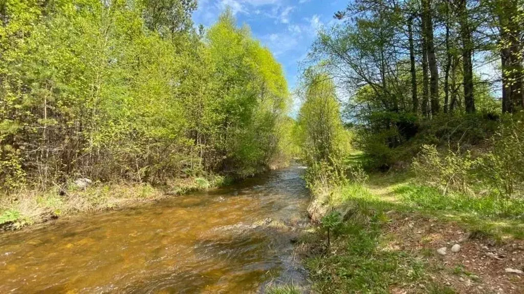 Участок в Иркутская область, Иркутский муниципальный округ, пос. ... - Фото 2