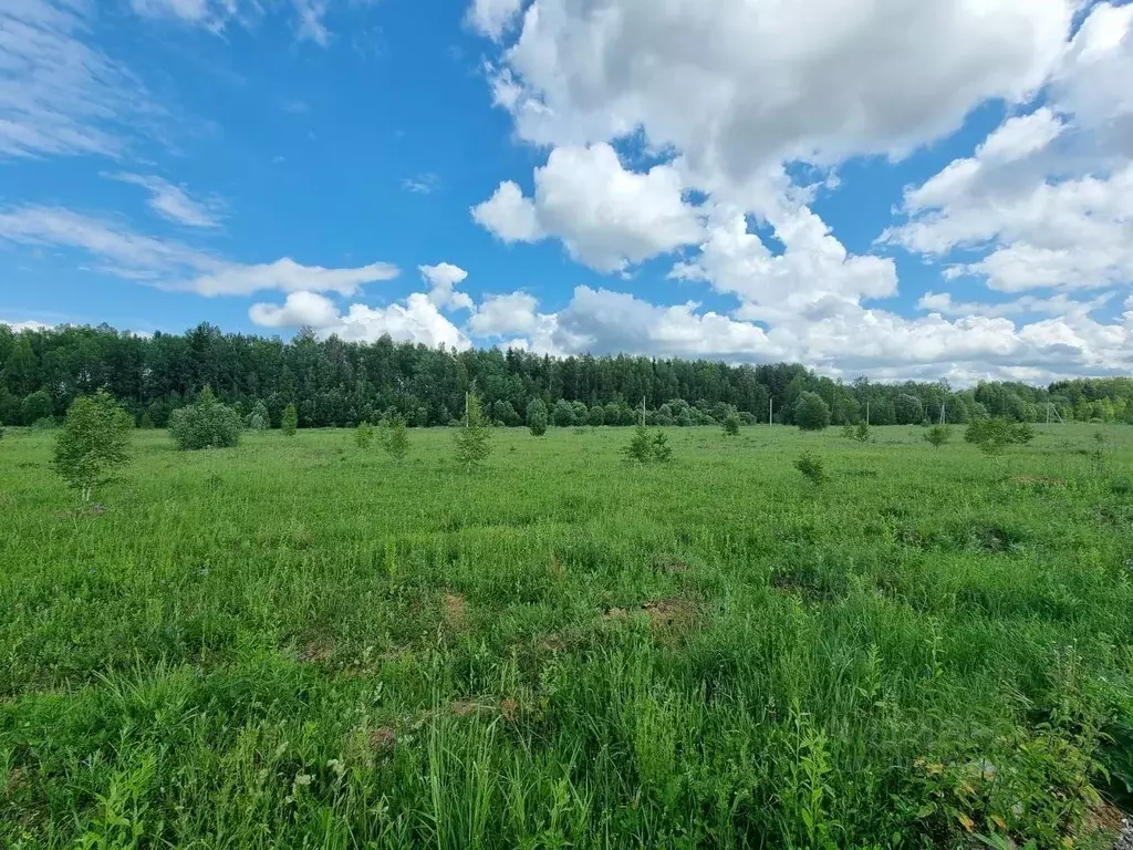 Участок в Московская область, Можайский городской округ, Рублево кп  ... - Фото 0