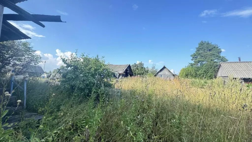 2-к кв. Кировская область, Слободской район, Закаринское с/пос, с. ... - Фото 2