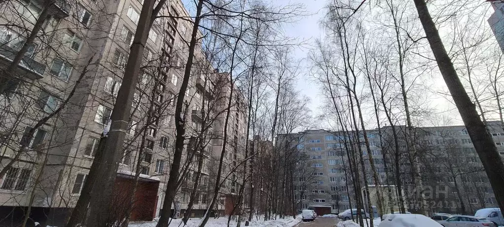 2-к кв. Санкт-Петербург просп. Большевиков, 25 (46.0 м) - Фото 2