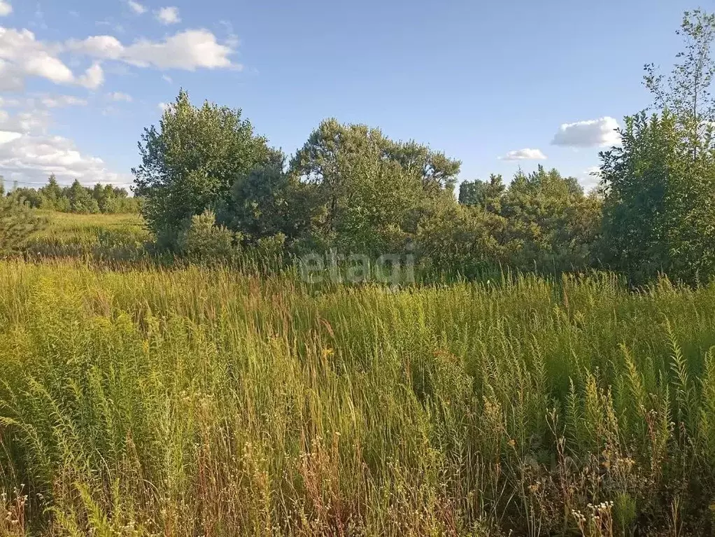 Участок в Нижегородская область, Кстовский муниципальный округ, с. ... - Фото 0